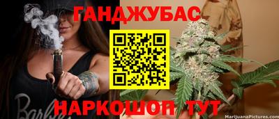 крисы Гай