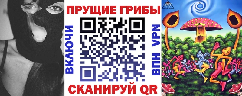 наркота  Кемерово  Галлюциногенные грибы Cubensis 
