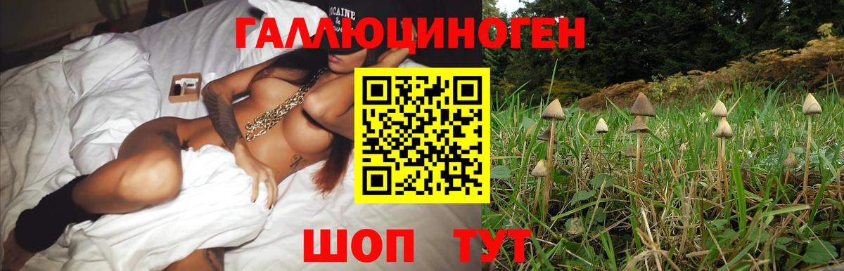 Псилоцибиновые грибы Psilocybe  Псилоцибиновые грибы мицелий  Кемерово  Вход с VPN 