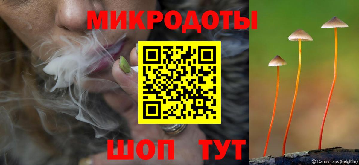 Галлюциногенные грибы прущие грибы Кемерово